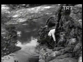 Ağaç Kovuğunda Yaşayan Adanalı