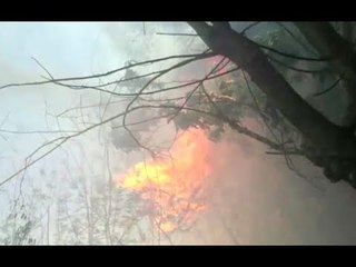 Roma - Incendio in zona Prati Fiscali (22.06.17)