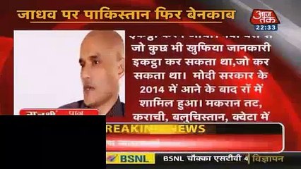 Indian Media Report On Kalbhushan New Video