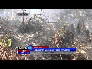 Perkebunan Sawit di Dumai Timur Terbakar - NET12