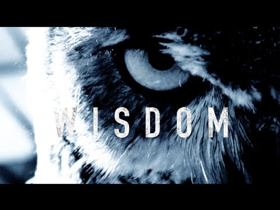 Wisdom - Motivational Video