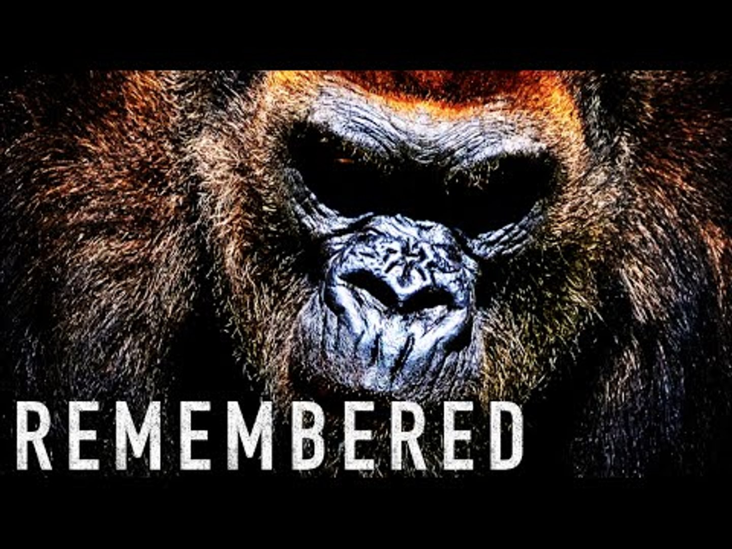 Remembered - Motivational Video