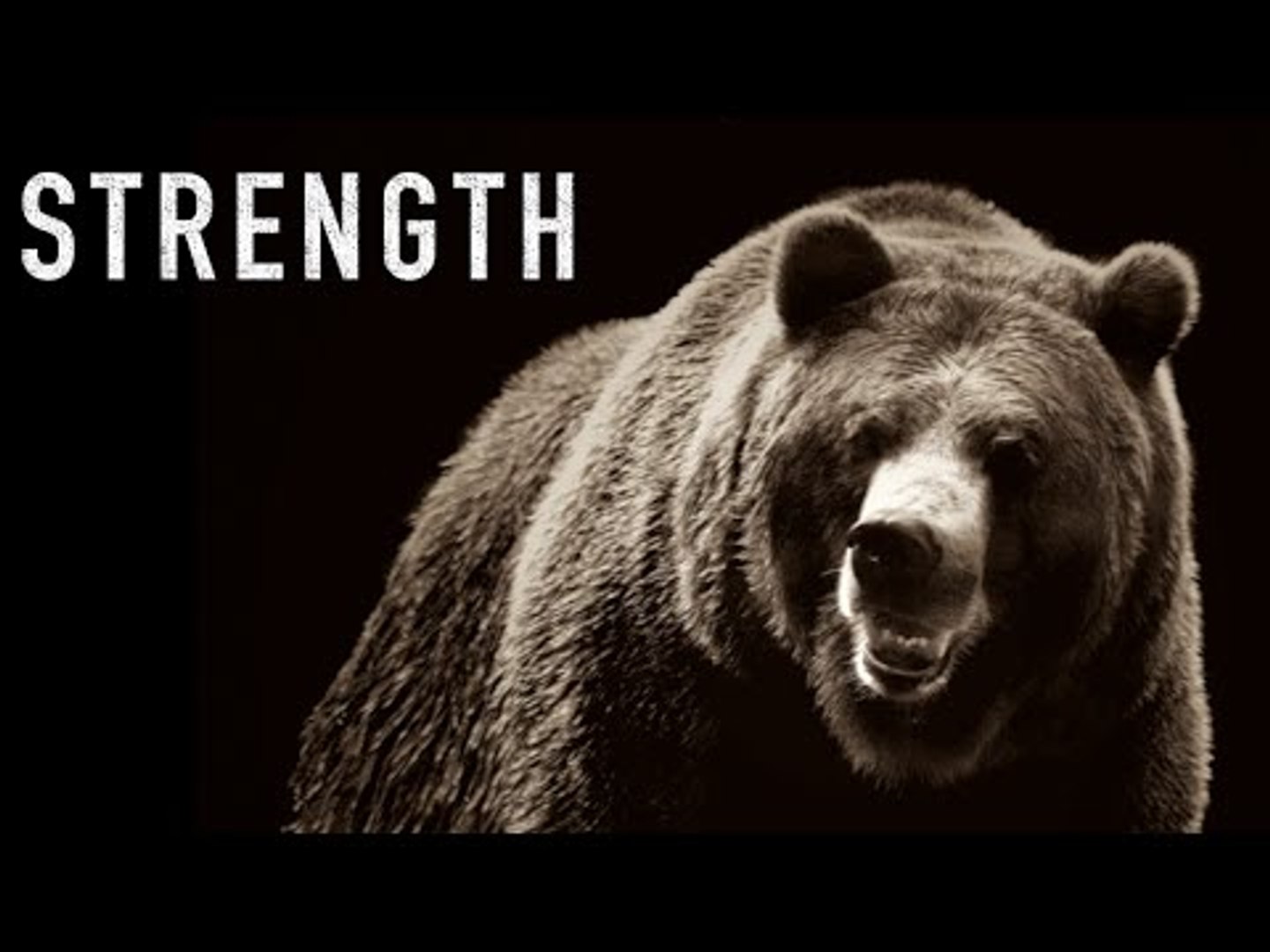 Strength - Motivational Video