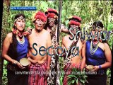Nota Pluricultural - Comunidades Amazónicas