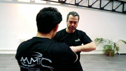 Taichi à l'Académie des Arts Martiaux Chinois (AAMTC Paris)