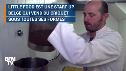 Pourquoi les criquets pourraient vous nourrir sans dégrader la planète