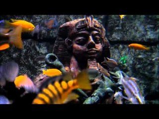 Pesona Wisata Keindahan Bawah Air di World's Biggest Tunnel Aquarium