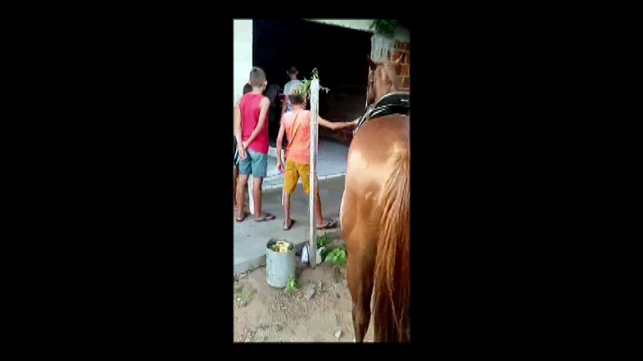 Briga de São João do Rio do Peixe