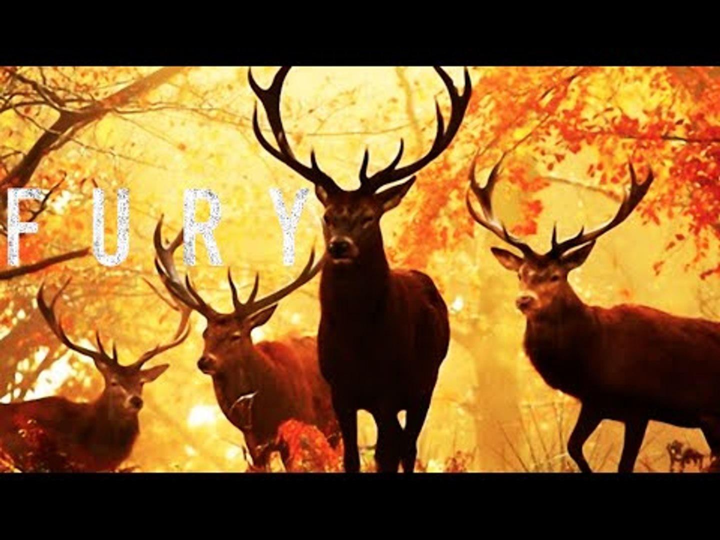 Fury - Motivational Video