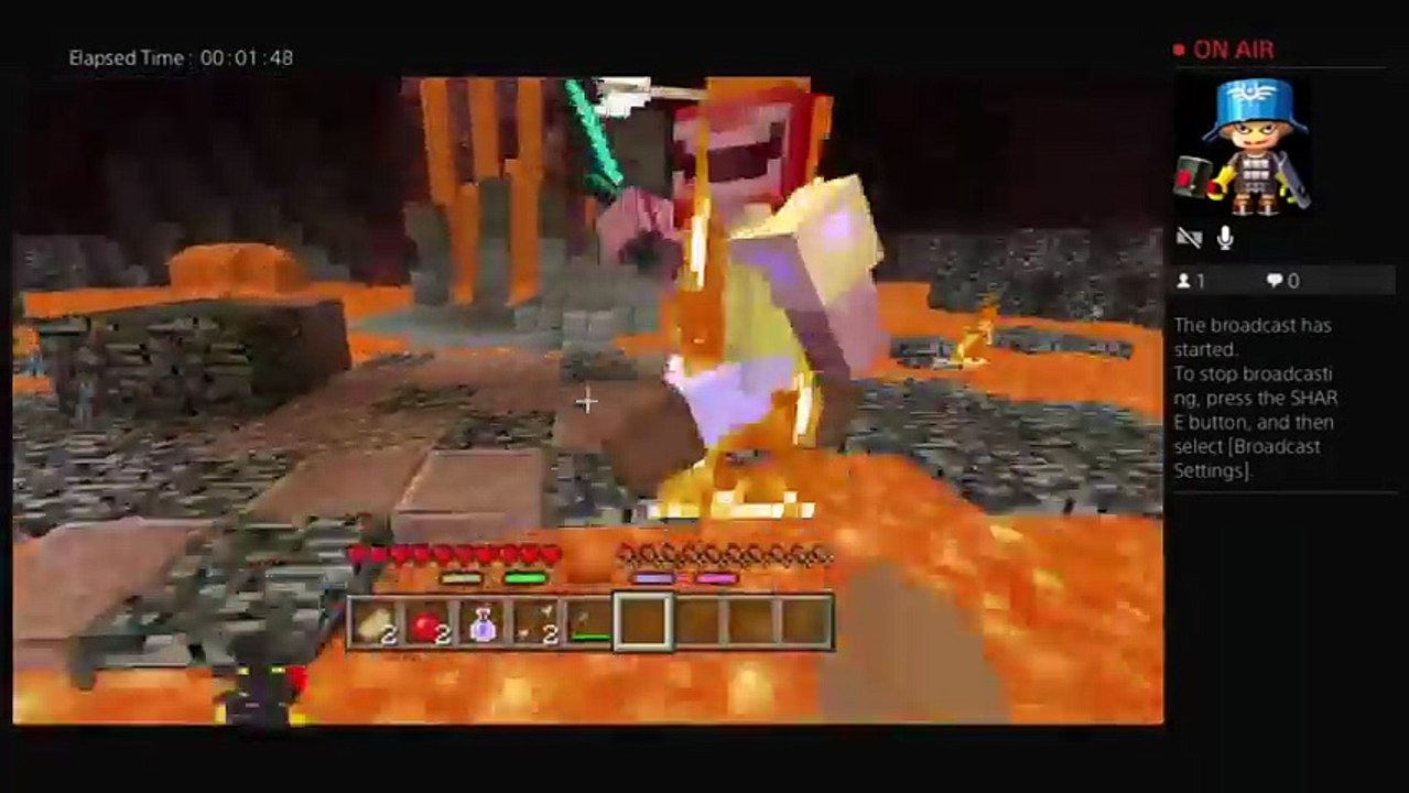 Minecraft gameplay (7)