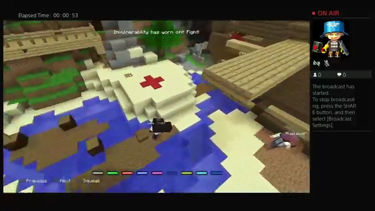 Minecraft gameplay (8)