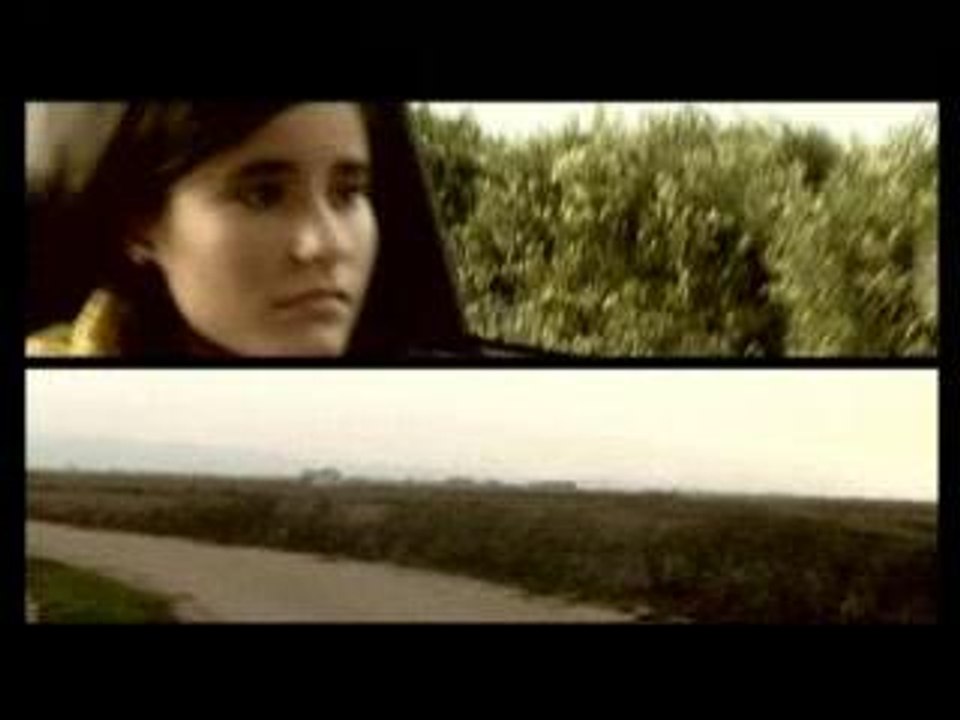 La línia de l'arbre