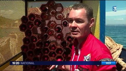 Var : les vin de Bandol sous les mers