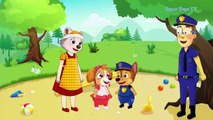 Paw Patrol Chase And Paw Patrol Skye Kidnapped| Pups save Chase| Pups Save Skye| Super Pup