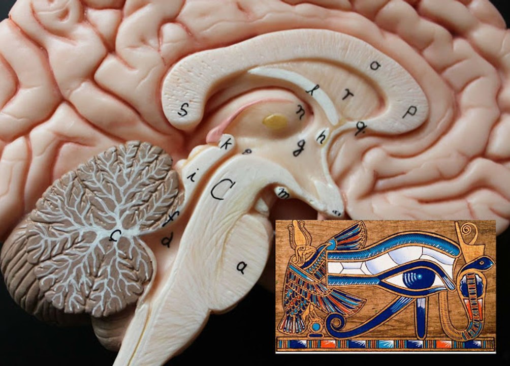 Open Your Third Eye and Awaken Your Pineal Gland ¡¡¡