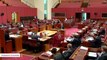 Australian Lawmaker Passes Motion While Breastfeeding Her Daughter