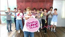 SEVENTEEN-Traffic Safety Song