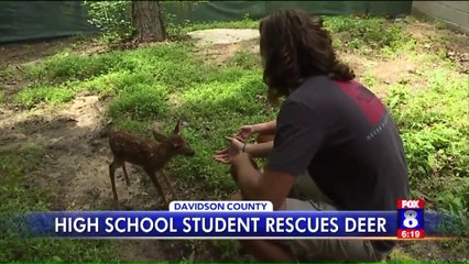 Download Video: High School Student Rescues Deer from Drowning