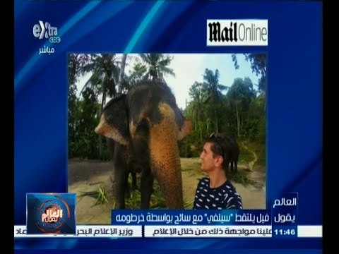 #العالم_يقول | فيل يلتقط سيلفي مع سائح بواسطة خرطومه