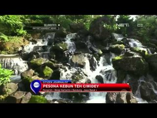 Pesona Kebun Teh Ciwidey - NET 10