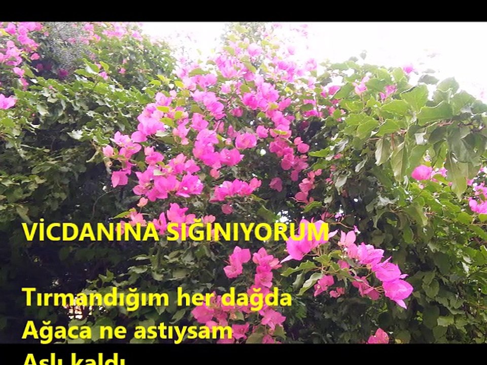 VİCDANINA SIGINIYORUM- Dagbey Şiileri (Ali Dogan)