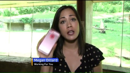 Chimpanzee Dead After Fight, Fall at Kansas City Zoo