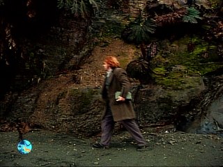 tierra enquevivimos darwin chiloe p 2