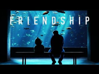 Friendship - Motivational Video