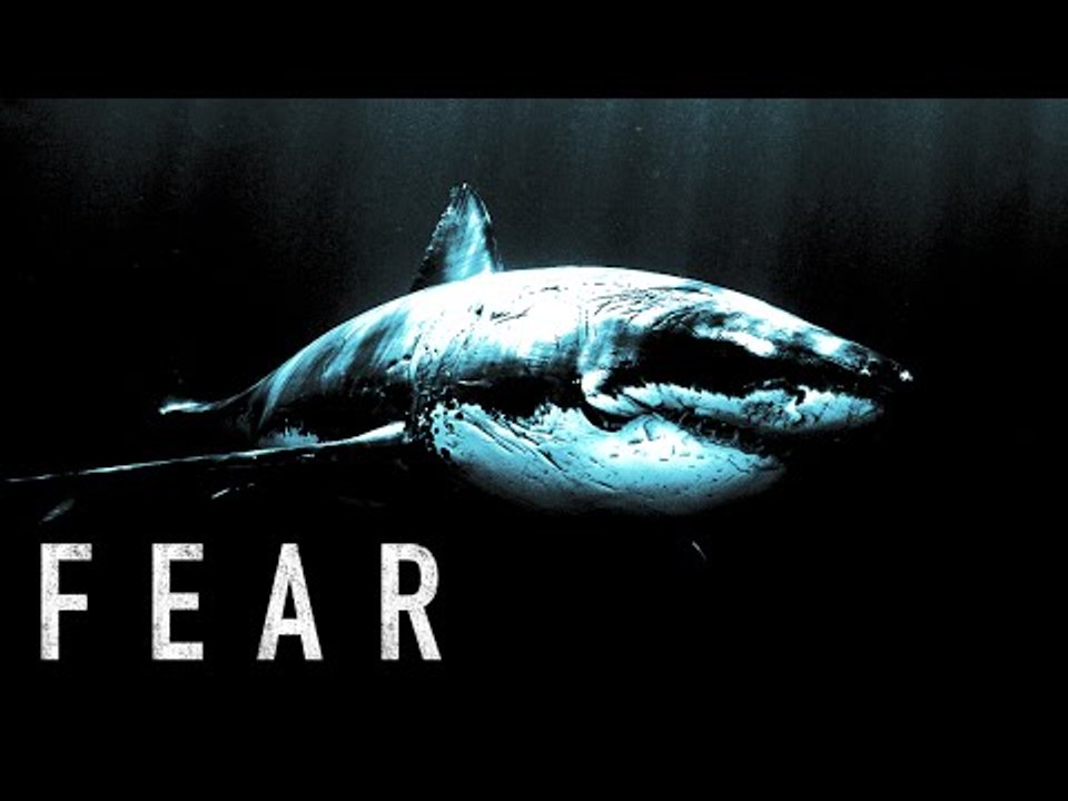 Fear - Motivational Video