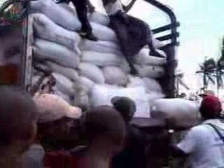 Zargarnar colleagues campaign to help cyclone victims