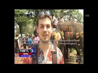 Sekelompok Gajah Meriahkan Festival Songkran di Thailand - NET5