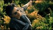 Jab Harry Met Sejal | New Upcoming Movie | Official Video Trailer | Shahrukh Khan | Anushka Sharma