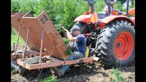 See how We Planted 1000 green giants in this field in one day