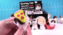 Grumpy Cat Surprise Plush Series 1 Toy Review Opening | PSToyReviews