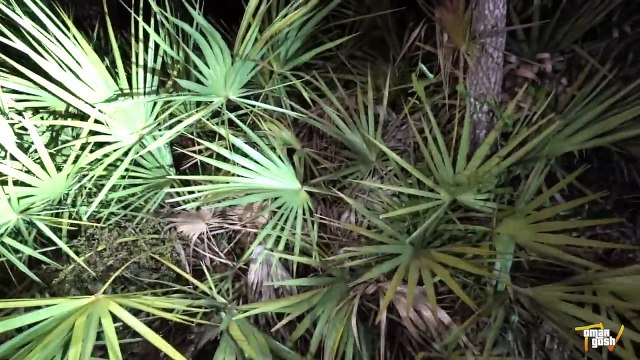 HAUNTED MANNEQUIN ONE MAN HIDE AND SEEK ( 3AM CHALLENGE )