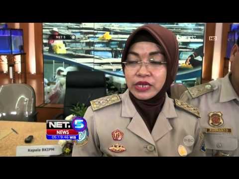 Ribuan Ekor Ikan Arwana Disita - NET5