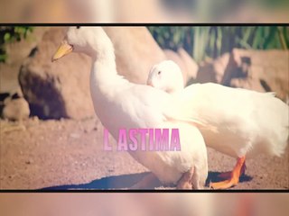 Lastima - Tavy el Cientifico (Extended 94 BPM)