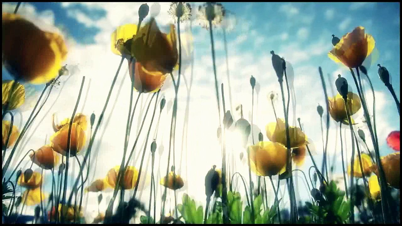Julien Doré - Vitriol