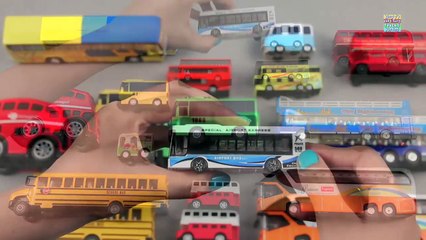 Learning Buses For Kids Children Toddlers Babies | School Bus | London Bus | Kids TV Presc