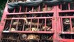 Activists Rescue 1,000 Dogs And Cats Destined For Slaughterhouses In China