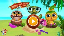Fun Baby Animals Care Kids Games Learn Colors with Jungle Animal Hair Salon Games for Chil