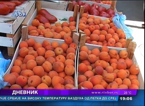 Dnevnik, 23. jun 2017. (RTV Bor)