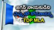 TDP MLA Fires On Ysrcp Leader Vijay Sai Reddy Over Vizag Land Scam | Oneindia Telugu