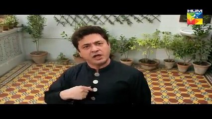 Mohabbat.PK Episode 5 HUM TV Drama   22 June 2017(360p)