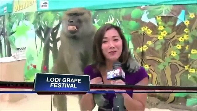 Canlı Yayın Kazaları Komik Videoları İzle 2017