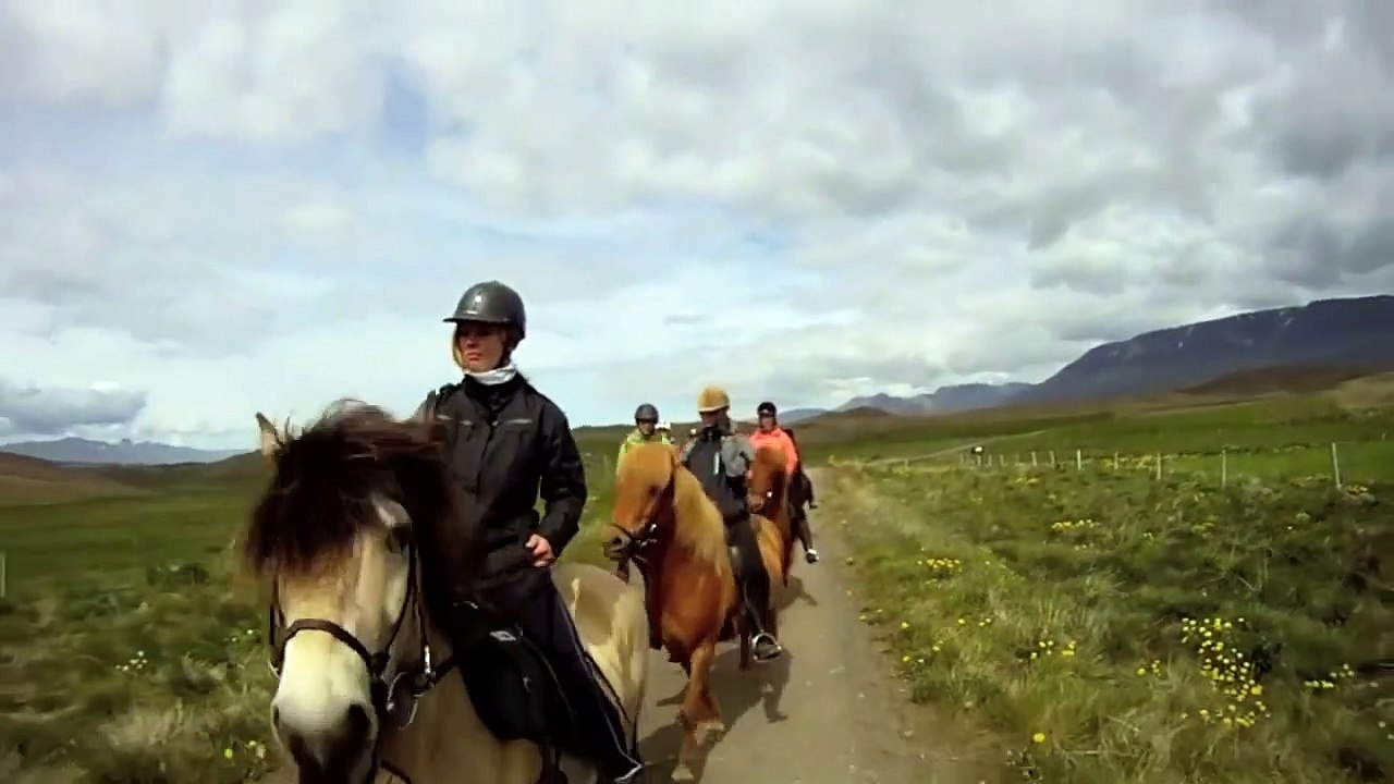 Horse Riding - Icelandic Horses for Kids