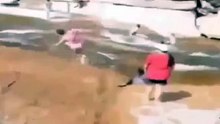 Amazing    Funny video 2017 funny videos for kids