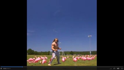 Do you ever just feel like... Is that the bublewrap guy?