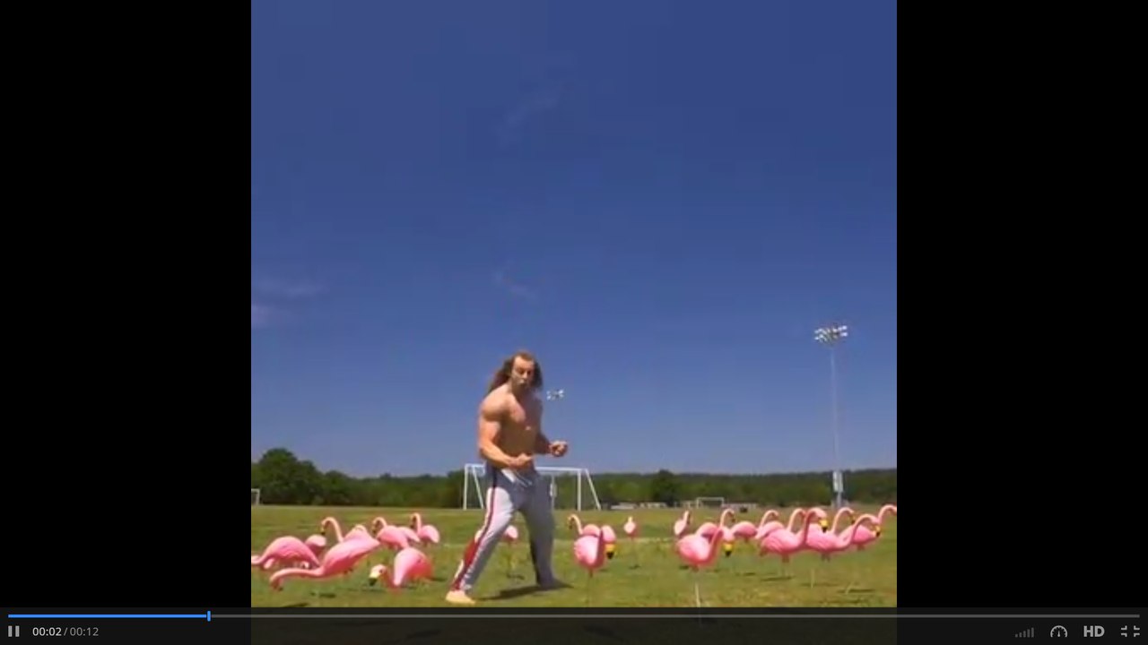 Do you ever just feel like... Is that the bublewrap guy?