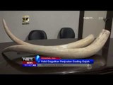 Petugas Ringkus Komplotan Penjual Gading Gajah - NET5
